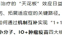 【Acro百普赛斯】深度研报 l 2026免疫治疗全景洞察:联合用药的机制破局与研发新范式