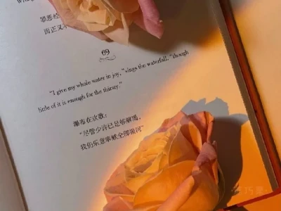 超治愈💛原版非渐变壁纸也来啦!!