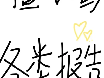 报告代写、ppt 代写