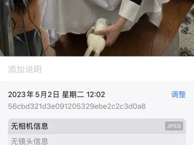 不要被盗图的骗了!!!