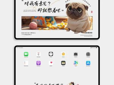 iPad壁纸｜245｜对我有意见 那就憋着吧