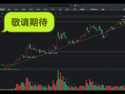 我为啥要买hfh？