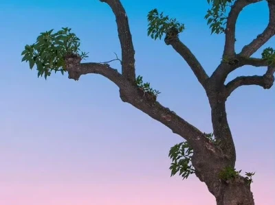 ·年年|鱼儿🌼