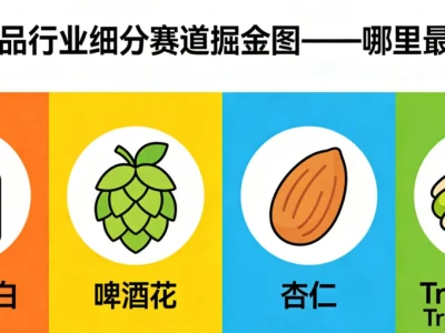 巴西市场深度研报:2480亿美元的超级蓝海,中国卖家的“黄金入场券”,细分赛道掘金图——哪里最赚钱?