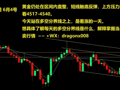 森林有话说 6月4号 黄金研报 图文详解
