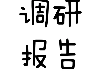 调研报告定制,帮你撰写属于你的报告🧐