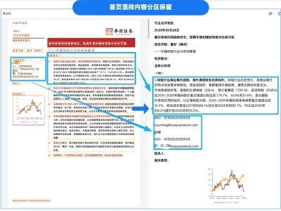 PDF2X实战案例-行业研报解析