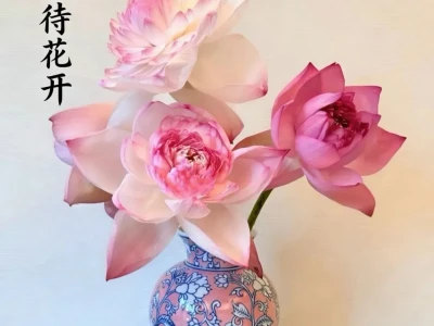 研究完K线研报,我哥最后靠玄学炒股