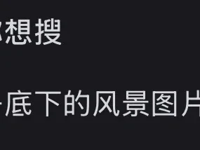 不是这想怎样