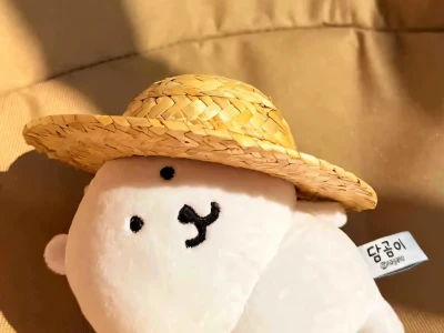 自嘲熊壁纸