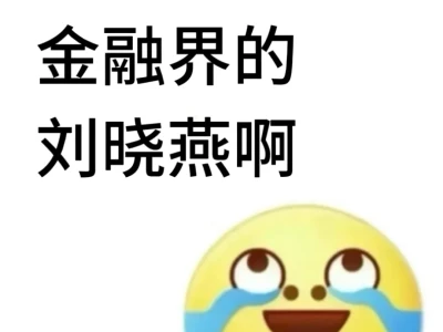 谁是金融的刘晓燕啊啊啊啊啊