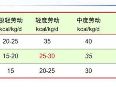 减肥第三步，确定每天摄入量