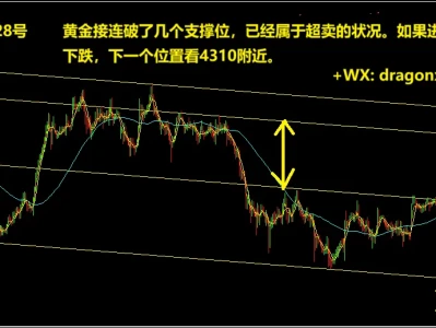 森林有话说 5月28号 黄金研报 图文详解