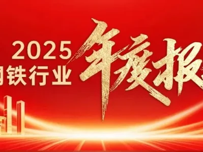 【2025年度报告】兰格钢铁网双焦行业研报精简版