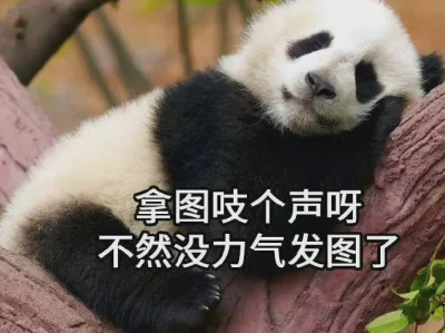 iPad壁纸、朋友圈背景图、WeChat背景图、iPad