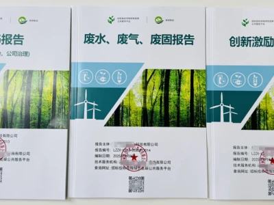 【专业绿色报告,助力国网招投标加分!】