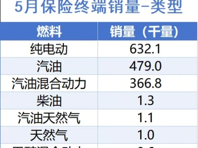 汽车研报:5月保险终端销量排名