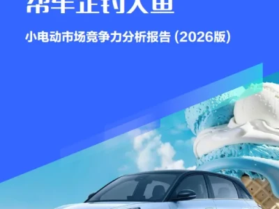 【研报362】2026小电动市场竞争力分析报告 (PDF文末附下载)
