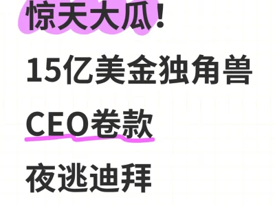 惊天大瓜！15亿美金独角兽CEO卷款夜逃迪拜