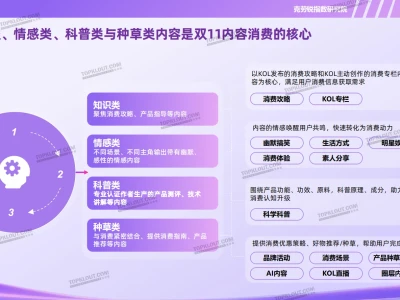 🤖2025年双11社交媒体内容消费洞察报告