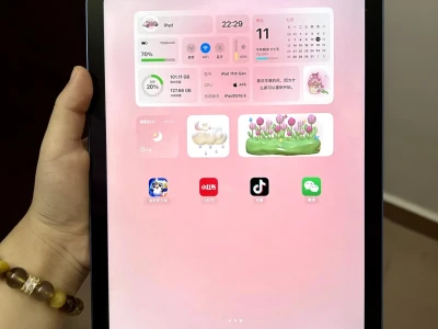 当我有了iPad就会