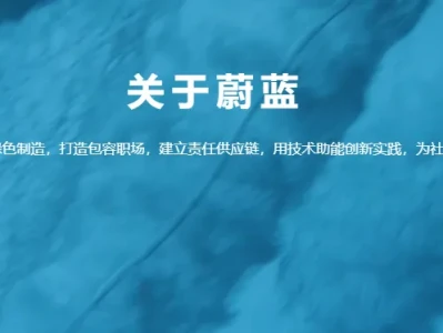 研报掘金案例・蔚蓝锂芯