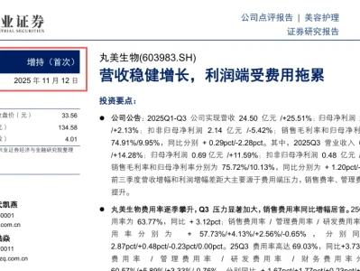 【读研报】研报掩盖关键风险,误导投资人:券高管是否该被追责?