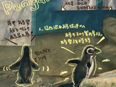 “恁应该也为俺啄米吧🐧”