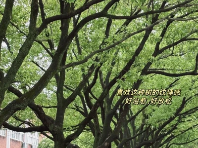 女研