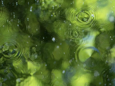 超适合夏天的一组壁纸🫧𓈒𓂂𓇼𓈒
