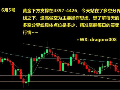 森林有话说 6月5号 黄金研报 图文详解