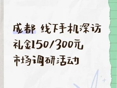成都 线下手机深访 市场调研活动