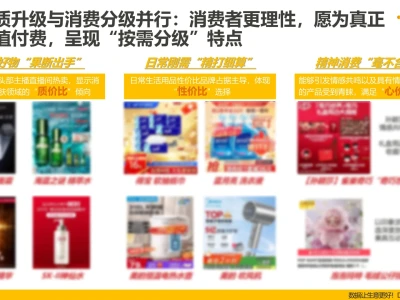 2025年双11全网销售数据解读报告