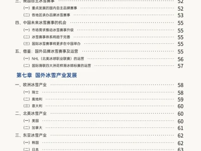 速点！今年最火的中国冰雪产业发展研究报告