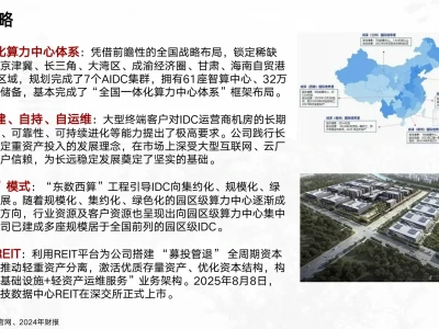 北大投资学小组调研分享：润泽科技（一）