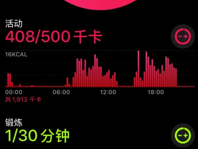 低能量女的一天,猫负责运动人负责躺躺躺躺