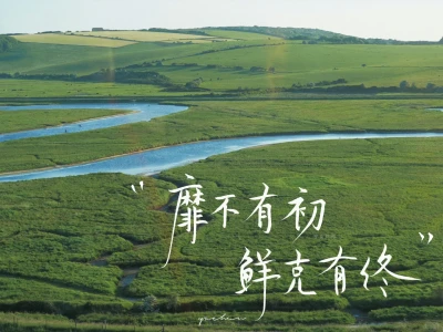 iPad壁纸| 手写壁纸 / 人生一趟,积极向上