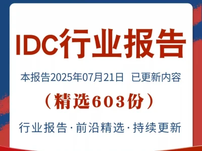 必看!2025 IDC 行业发展报告来袭