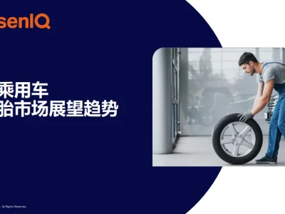 【研报374】中国乘用车替换胎市场展望趋势报告(PDF文末附下载)