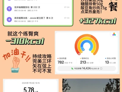 7.04一日卡路里账单