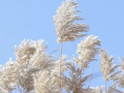 行业研报看哪家