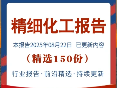精细化工行业报告:2025市场研究与前景分析