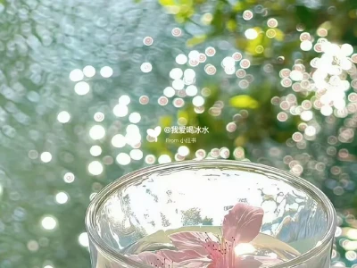 壁纸小众不撞款 锁屏瞬间变高级