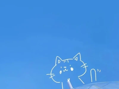 𝐒𝐡𝐚𝐫𝐞手机壁纸|简约治愈系