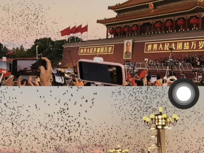 今天的壁纸太好看啦🤩 每一张都好喜欢🥳