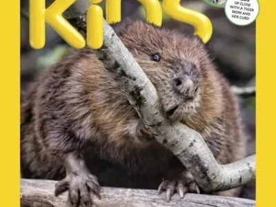 今日更新 | 外刊杂志&机构研报(日期:2026年03月18日)