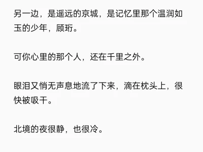 胆小身娇和亲公主你vs高冷糙汉小将军2