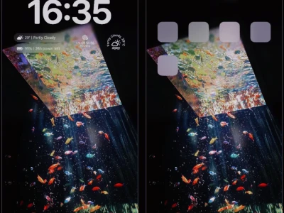 wallpaper🐟|今日鱼鱼系7.29