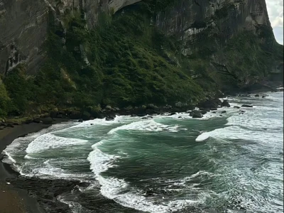 𝙎𝙝𝙖𝙧𝙚丨绿色系壁纸