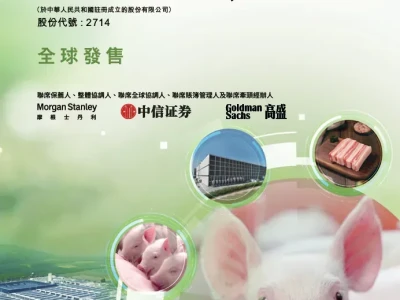 高盛2月研报将牧原目标价上调至67元,已打脸,看喵老师小作文,带你走出信息茧房!